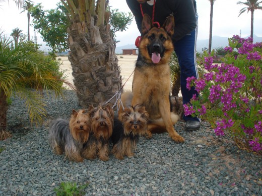 Pues nada, dando un paseo con parte de la familia. Lo que cuesta hacer k se esten quietos jajaja