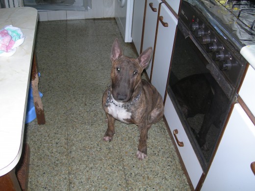 q bonita mirada