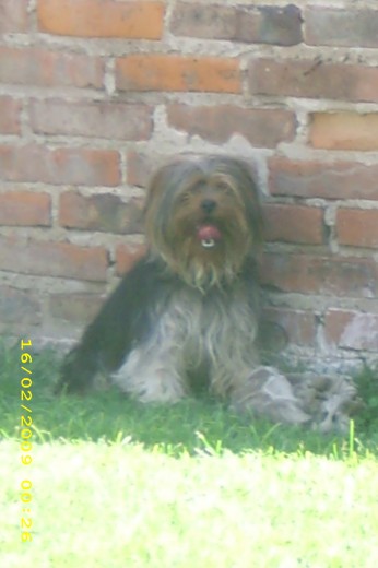 el con su pelota jugando!!...