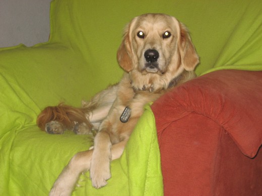 en mi soffa que porsierto tambien podria ser tuyo  jejeje llamame  