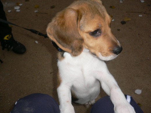 Esta foto es de cuando hunter tenia tres meses