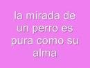 muy cierto 