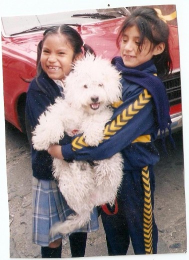 ahi estoy con mi perrito yo soy la derecha y mi prima es la de la is quierda ahi fui al dentesta y a la ves al veterinario me sacaron dos dientes y a mi perro le compre su camita