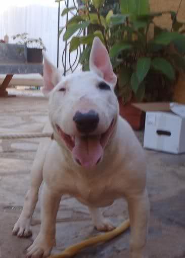 Es Chantal con 5 meses.