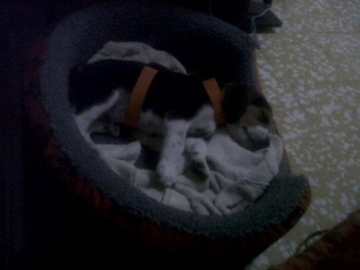 Durmiendo Durmiendo