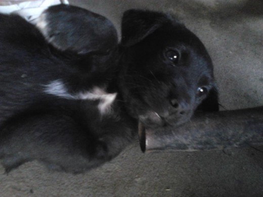 Harry ♥