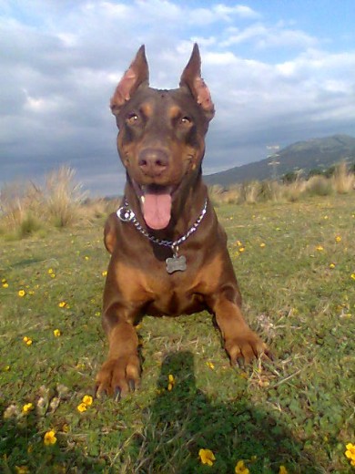 MI CHIQUITA PRECIOSA EN EL CAMPO