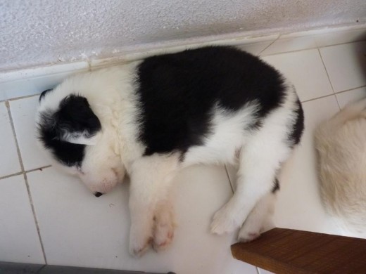 Durmiendo un ratejo. Durmiendo un ratejo.