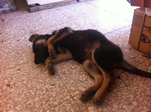 jajaja rozco de flojo después de jugar
 