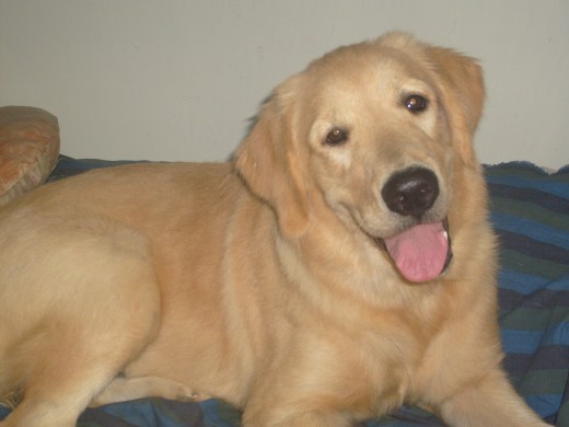 En casa. Tenía 8 meses y una semana