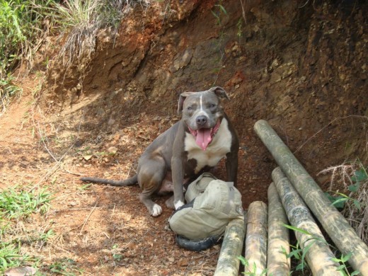 de paseo en la finca!!