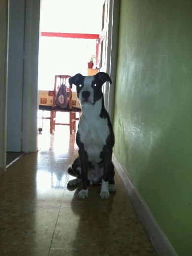 MI BEBE PRECIOSO MI BEBE PRECIOSO