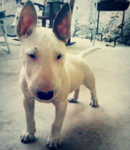 Aquiles<3 