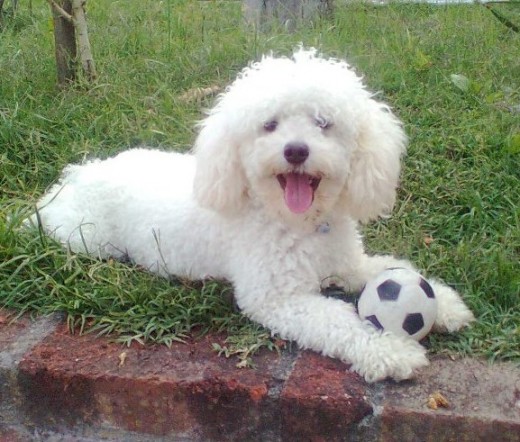 Jugando con su pelota!