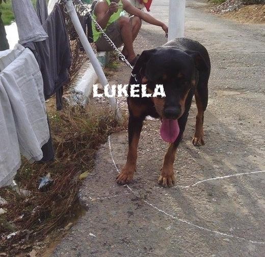 Hola :D me llamo Lukela :p 