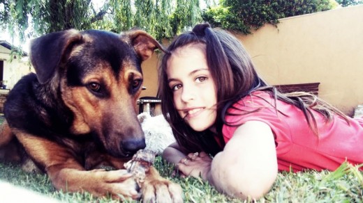 Skay me persiguió a mi casa pero como yo tengo 4 perros no lo podia tener a si que e empezé a buscar una nueva familia despues de unos cuantos dias o un mes coniguió una familia con dos chicos chiquitos , Skay era muy bueno va es muy bueno aunque no lo vea el 3 de febrero conocio a su familia!! Skay me persiguió a mi casa pero como yo tengo 4 perros no lo podia tener a si que e empezé a buscar una nueva familia despues de unos cuantos dias o un mes coniguió una familia con dos chicos chiquitos , Skay era muy bueno va es muy bueno aunque no lo vea el 3 de febrero conocio a su familia!!