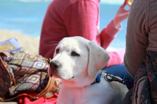 Su primer día de playa