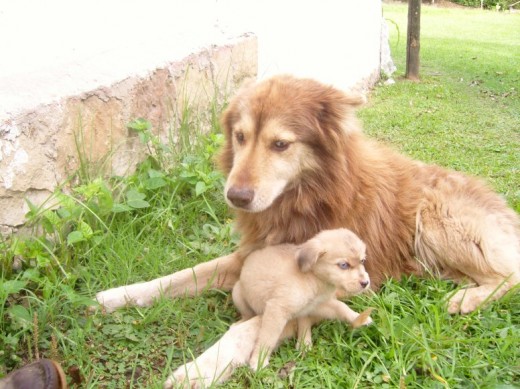 juGANDO CON EL HIJO
Tanner