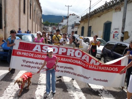 Estrellita encabezando las protestas de proteccion y resguardo animal, ella es una activista como su mamá n.n 