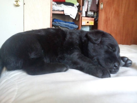 mi bebiita hermosa mi bebiita hermosa