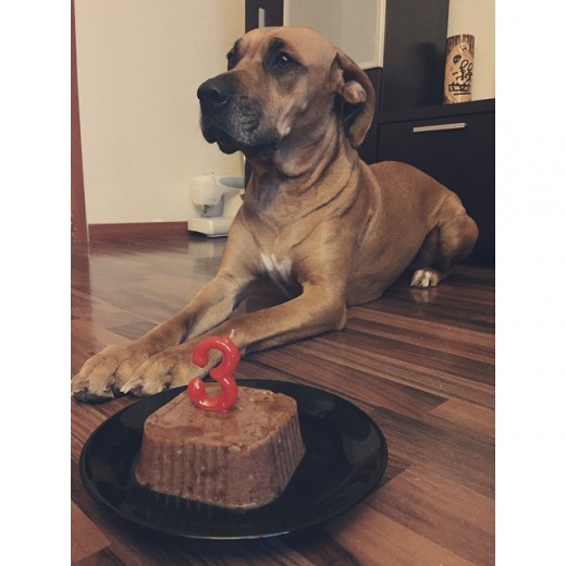 Su tarta de cumpleaños
