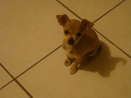 Hermosaa=D Hermosaa=D