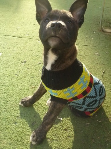 Raspa 2 meses Raspa 2 meses