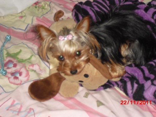 mi vida!!! si queres amor esta raza te da de maasss!!!! :)