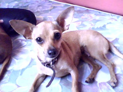 Chikis acostadita en mi cama siendo un año mayor que su hermana Susy