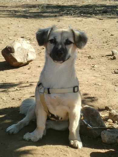 Aqui la tenemos en un dia de campo, sentada en la sombra y posando para la foto.