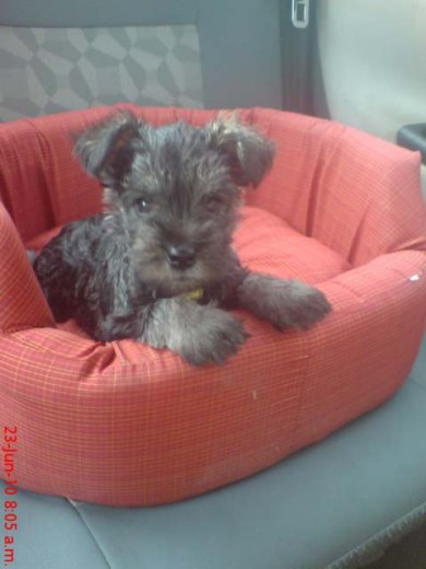 A LOS 2 MESES