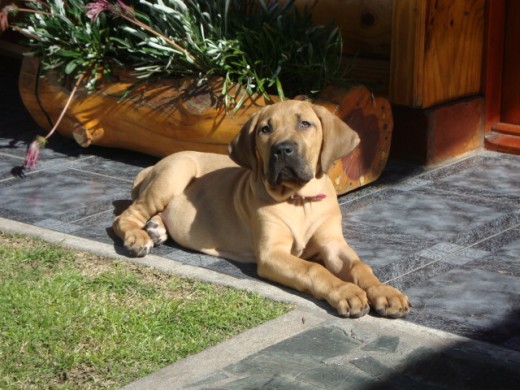 ESTA FOTO ESTA TOMADA CUANDO TENIA DOS MESES DE EDAD.