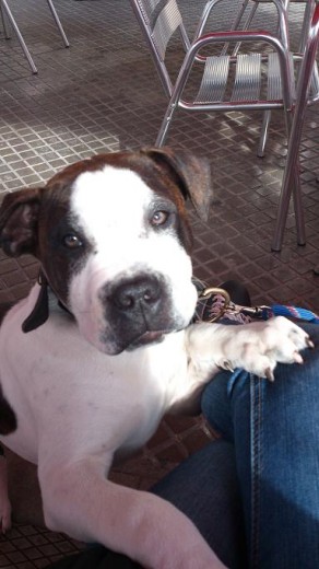 Gordo con 4 Meses
http://www.youtube.com/watch?v=SmQFsUsafSs
