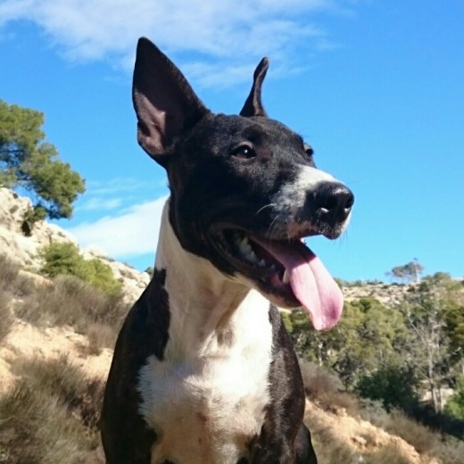 Con casi siete meses Con casi siete meses