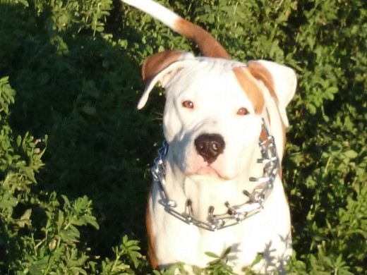 MI pequeñinn MI pequeñinn