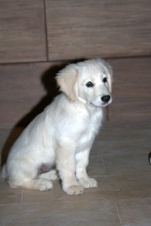 Mi bb en el patio ujuju
