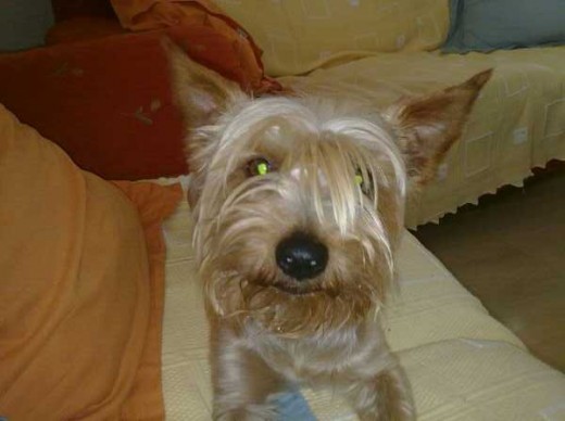Guapo e Inteligente...que mas se puede pedir?