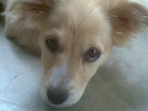 lindote ¿verdad? lindote ¿verdad?