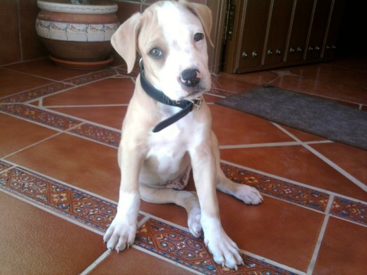 2 meses 2 meses