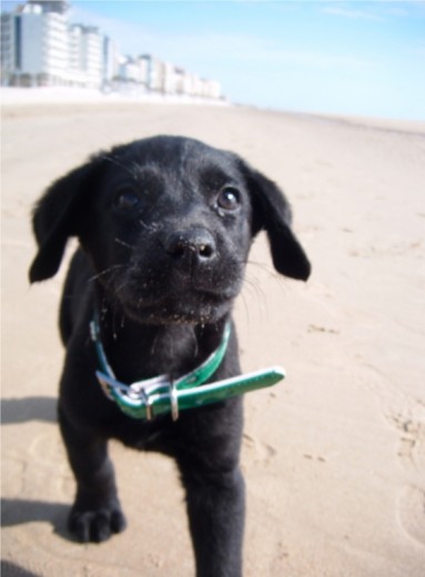 Un día de playa