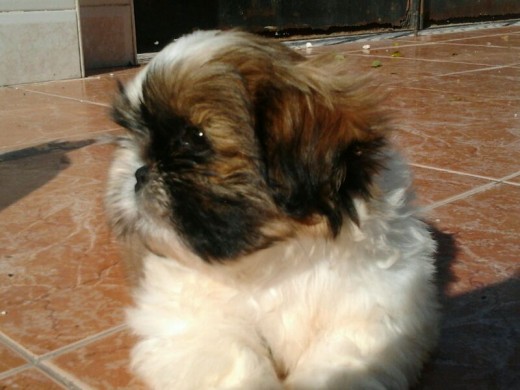 Tomando el sool Tomando el sool