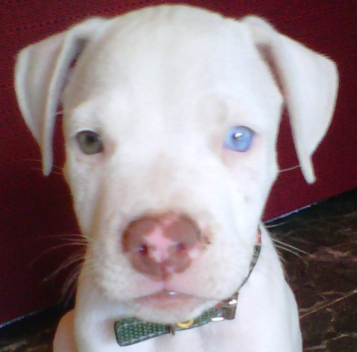 soy hermoso :)