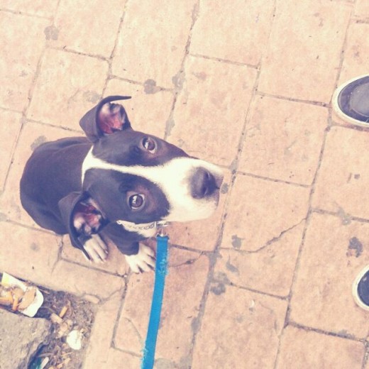 Dando un paseo!! :) Dando un paseo!! :)