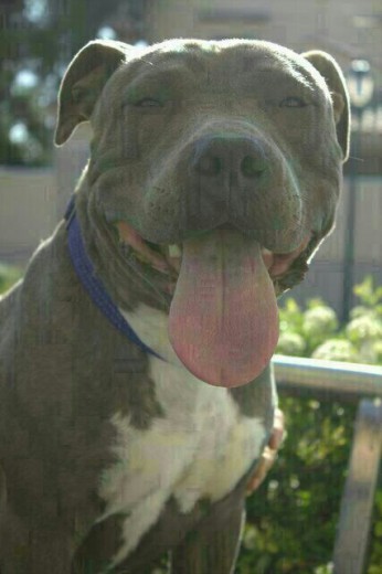 FLOW con 10 meses!