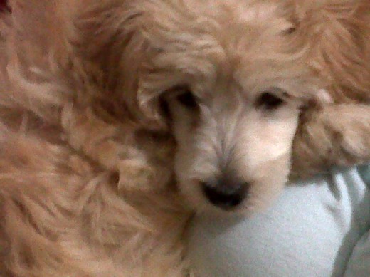 yo chiquitica el primer dia que llegue a casita :3 yo chiquitica el primer dia que llegue a casita :3