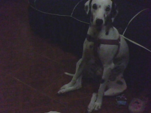 Se busca  parejita   ( Desea ser madre prontoo! )