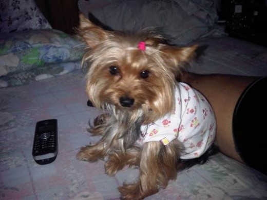 soyy sophie!!!!!!!!! y me encanta mi familia