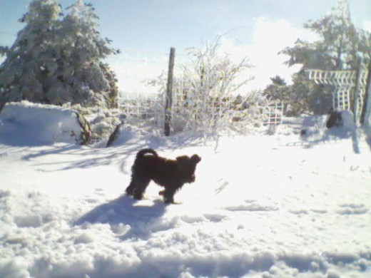 NEVADA EN EL PUERTO DE LOS LEONES