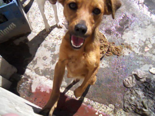aca estabamos jugando jeje