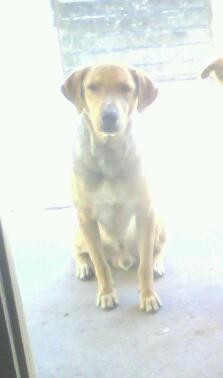 reptar:) reptar:)